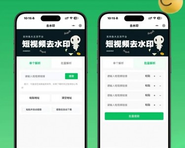 2026新版去水印小程序源码 v1.6.5 带流量主